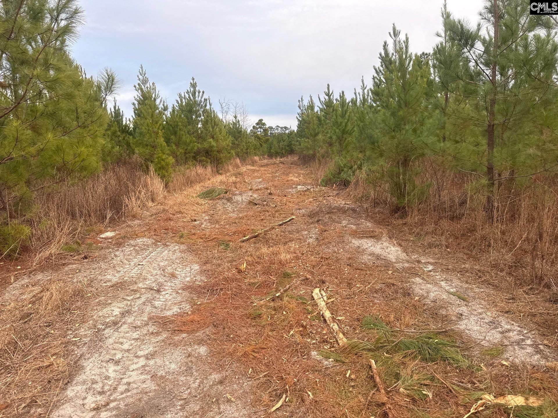 QBF 9 Quattlebaum Road Leesville, SC 29070