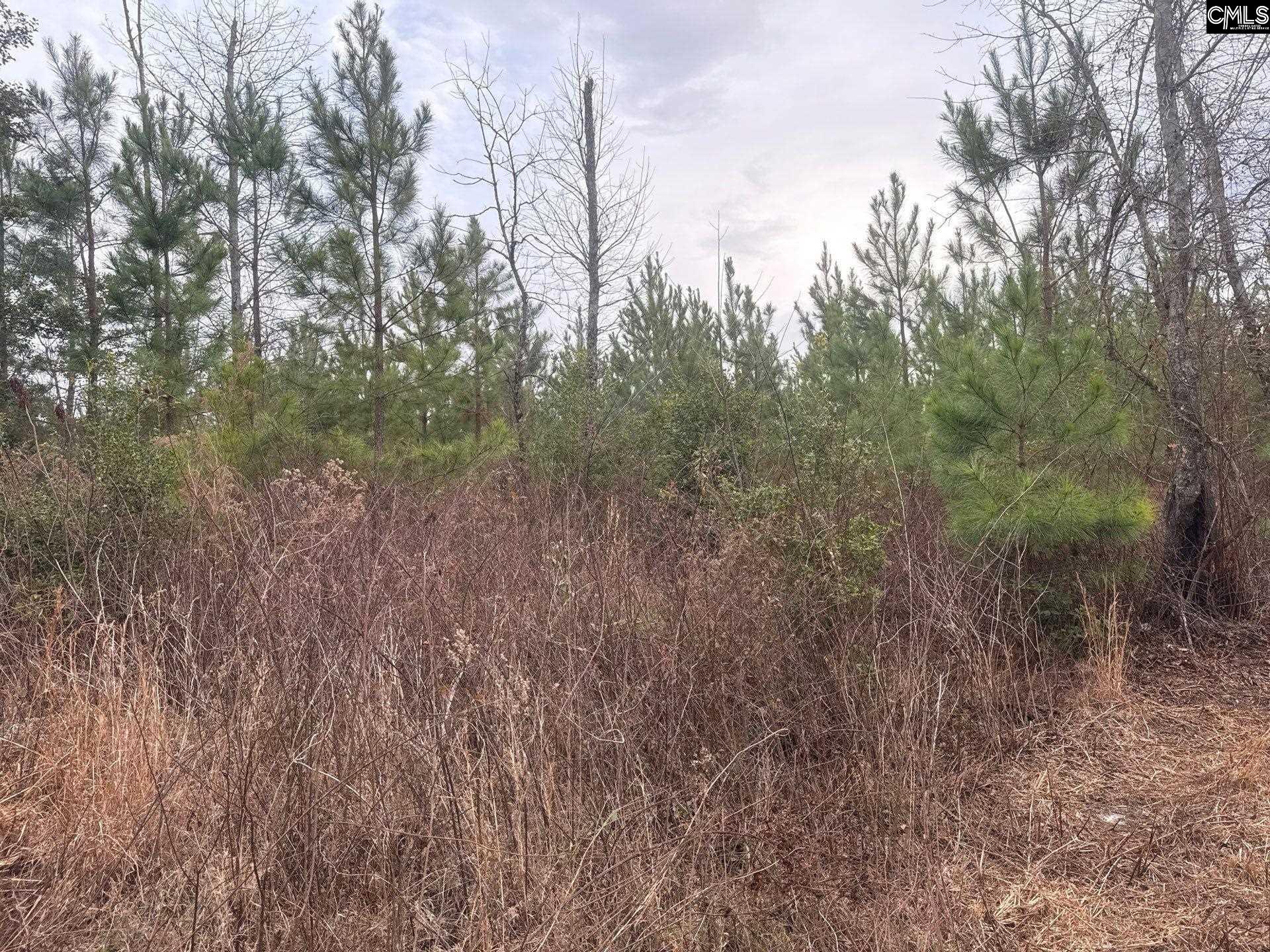 QBF 9 Quattlebaum Road Leesville, SC 29070