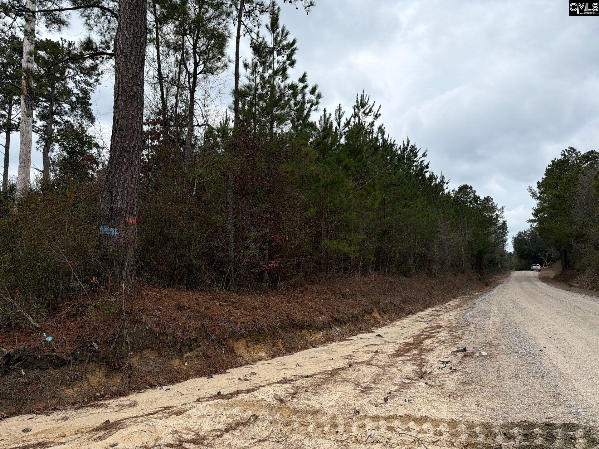 BFF II 2 Jc Barefoot Road Patrick, SC 29854