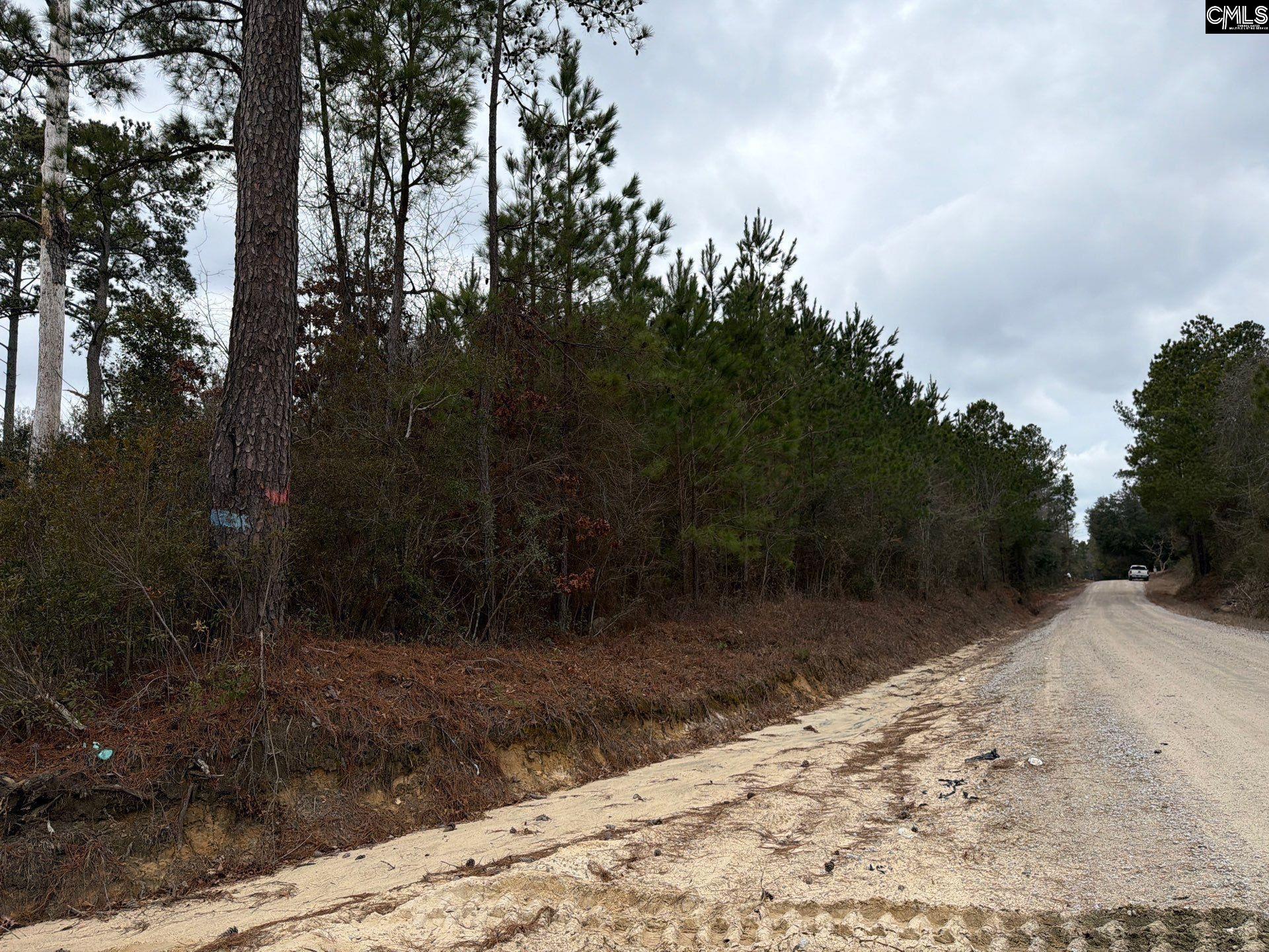 BFF II 2 Jc Barefoot Road Patrick, SC 29854