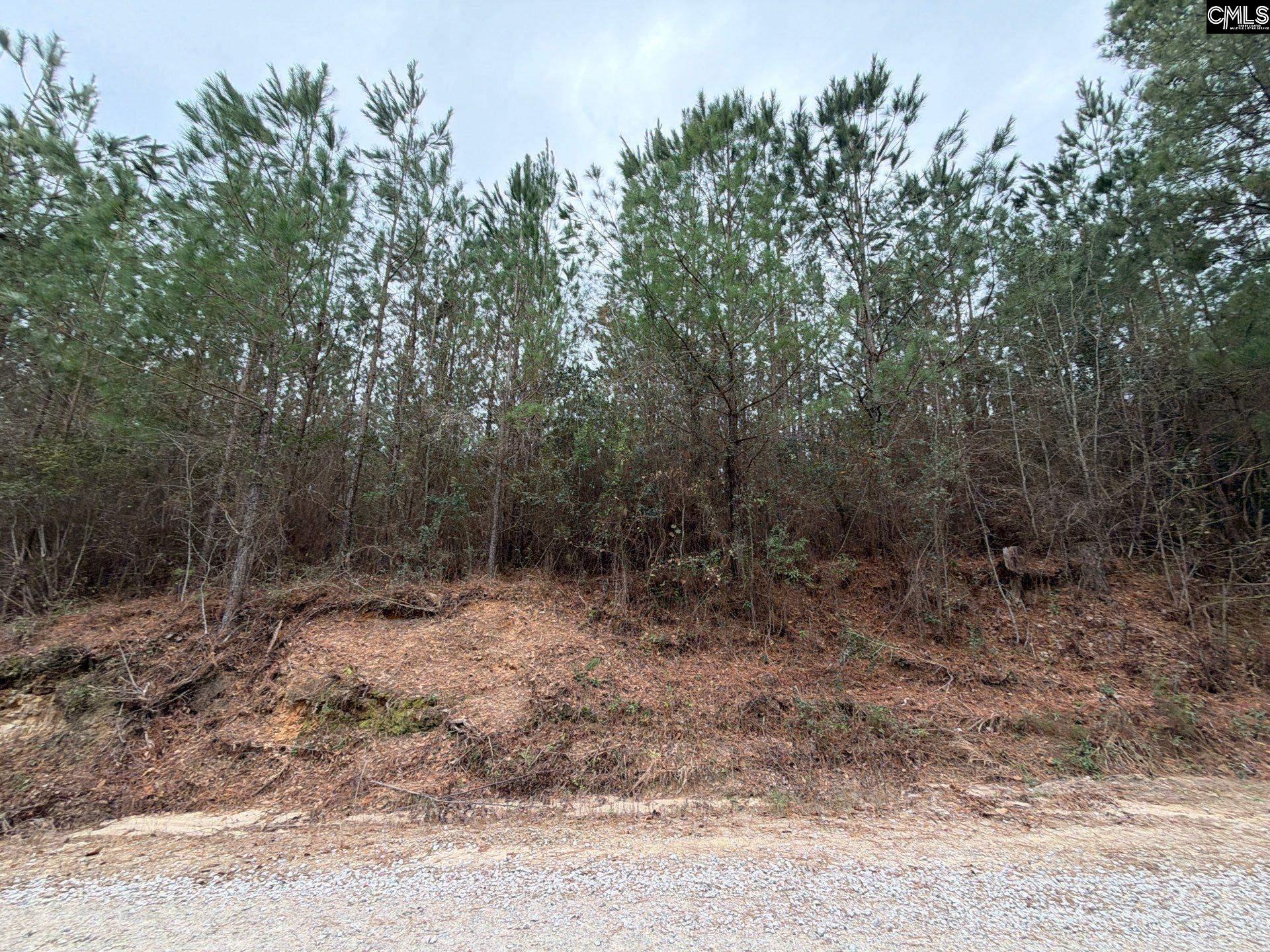 BFF II 2 Jc Barefoot Road Patrick, SC 29854