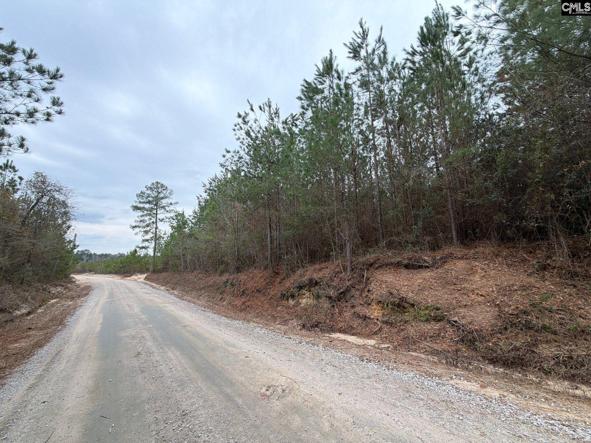 BFF II 2 Jc Barefoot Road Patrick, SC 29854