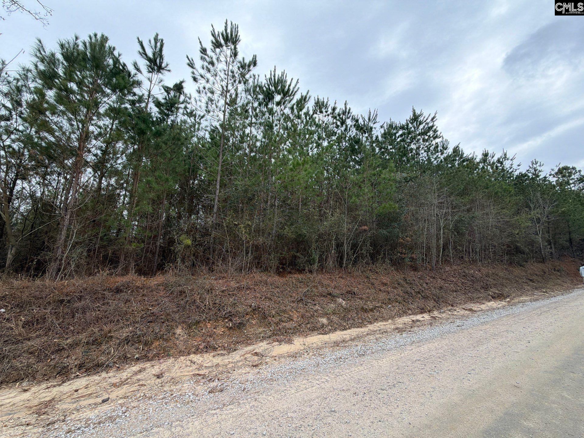 BFF II 2 Jc Barefoot Road Patrick, SC 29854