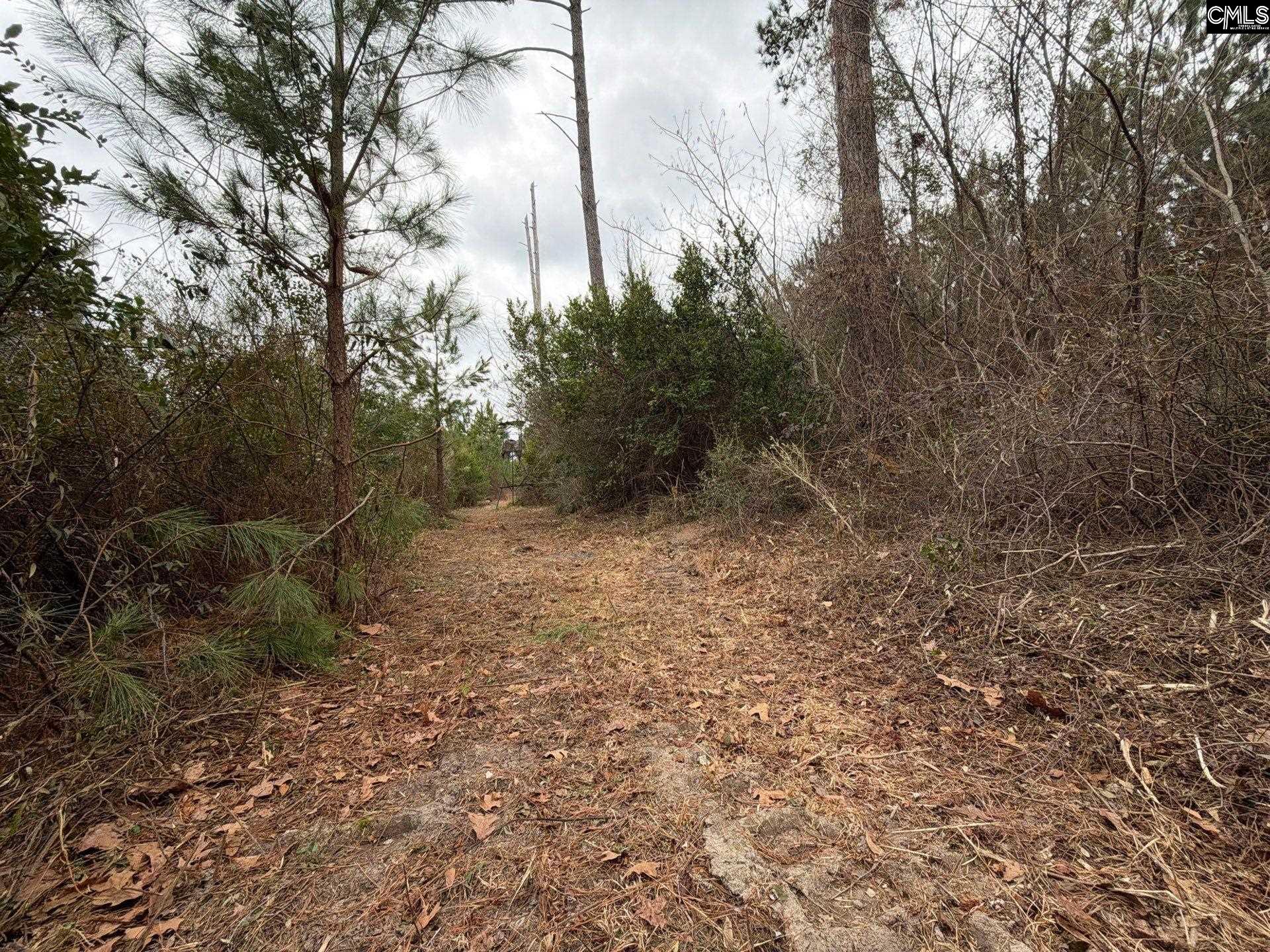 BFF II 2 Jc Barefoot Road Patrick, SC 29854