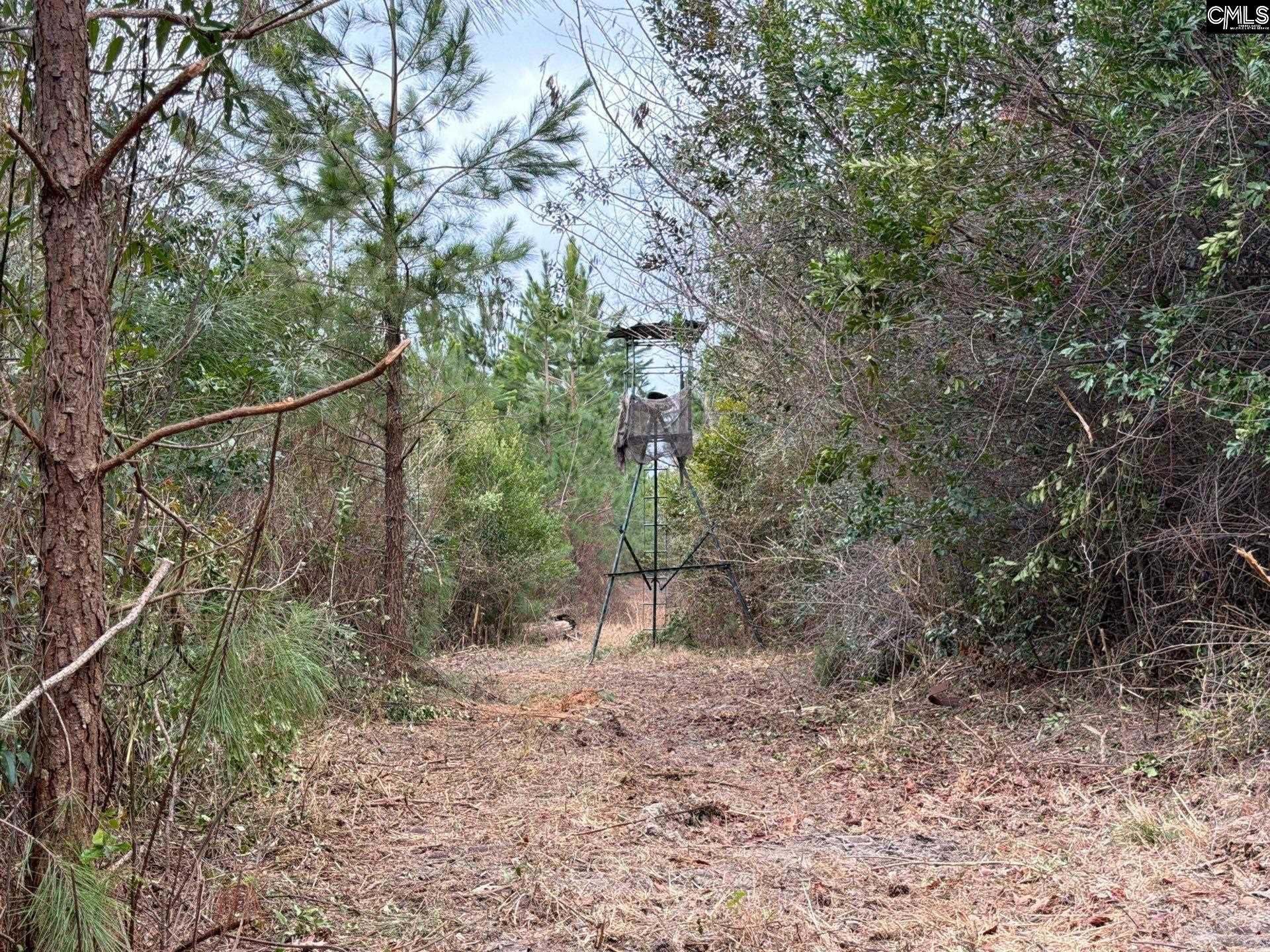 BFF II 3 Jc Barefoot Road Patrick, SC 29854