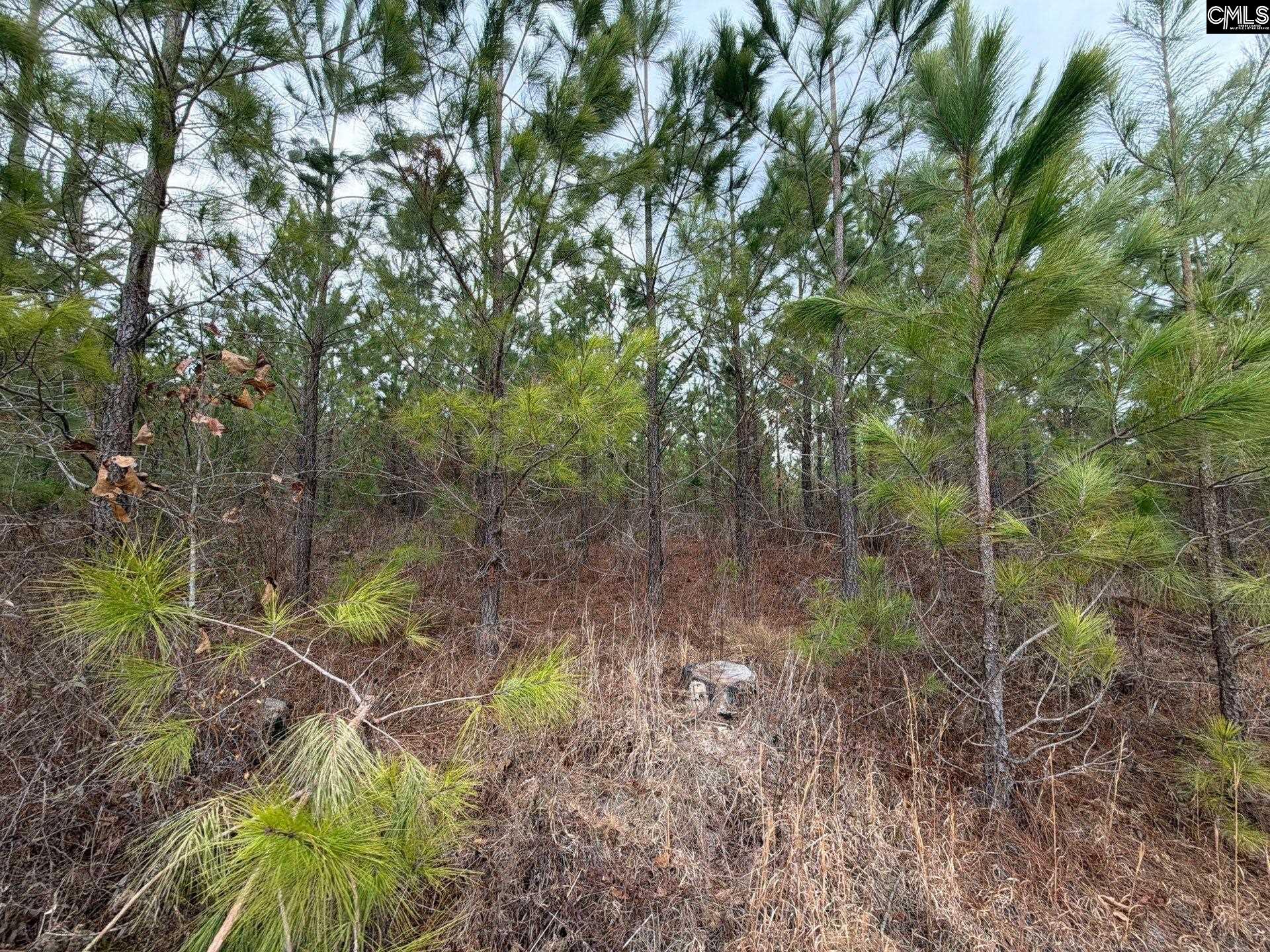 BFF II 3 Jc Barefoot Road Patrick, SC 29854