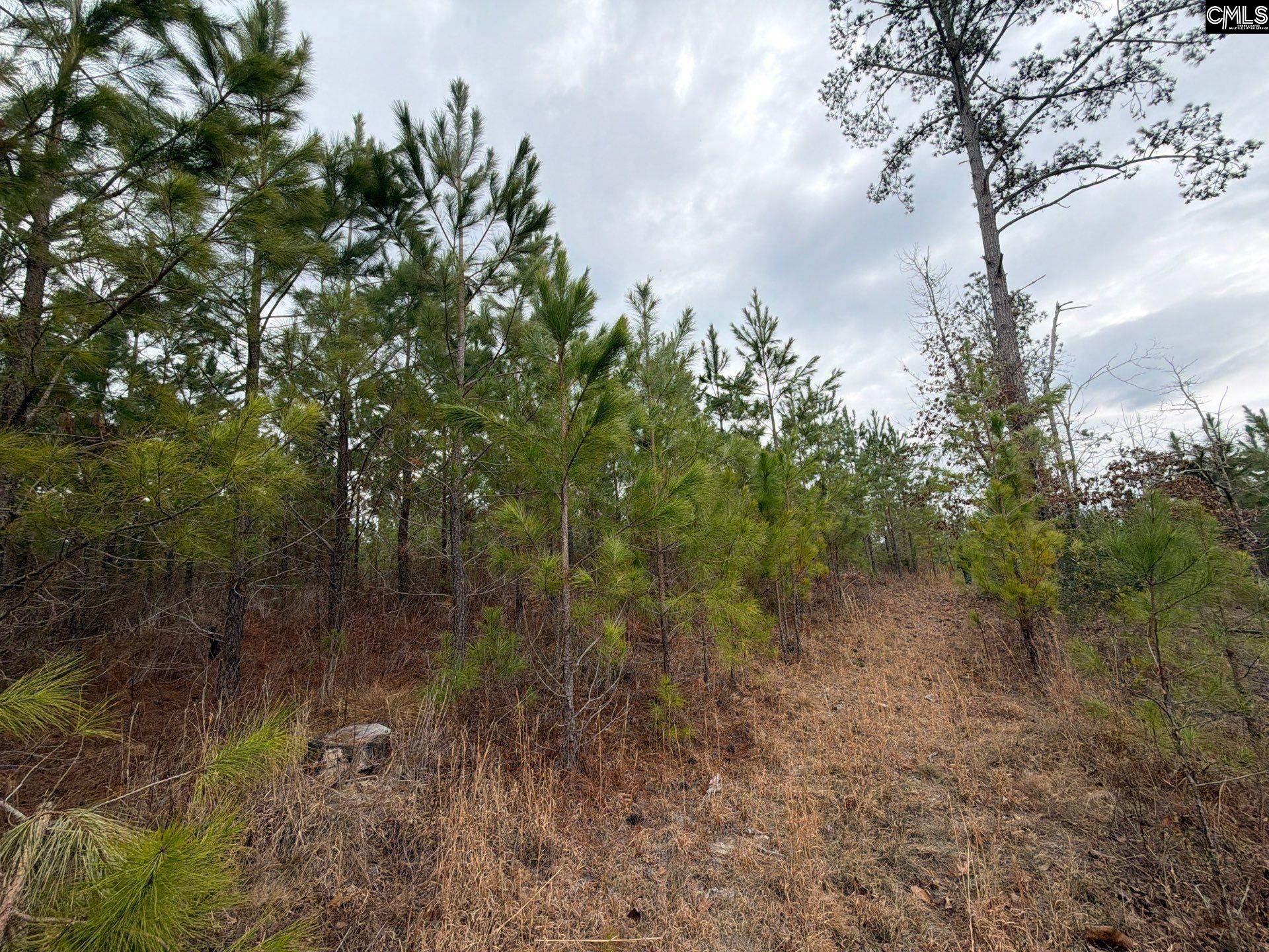 BFF II 3 Jc Barefoot Road Patrick, SC 29854