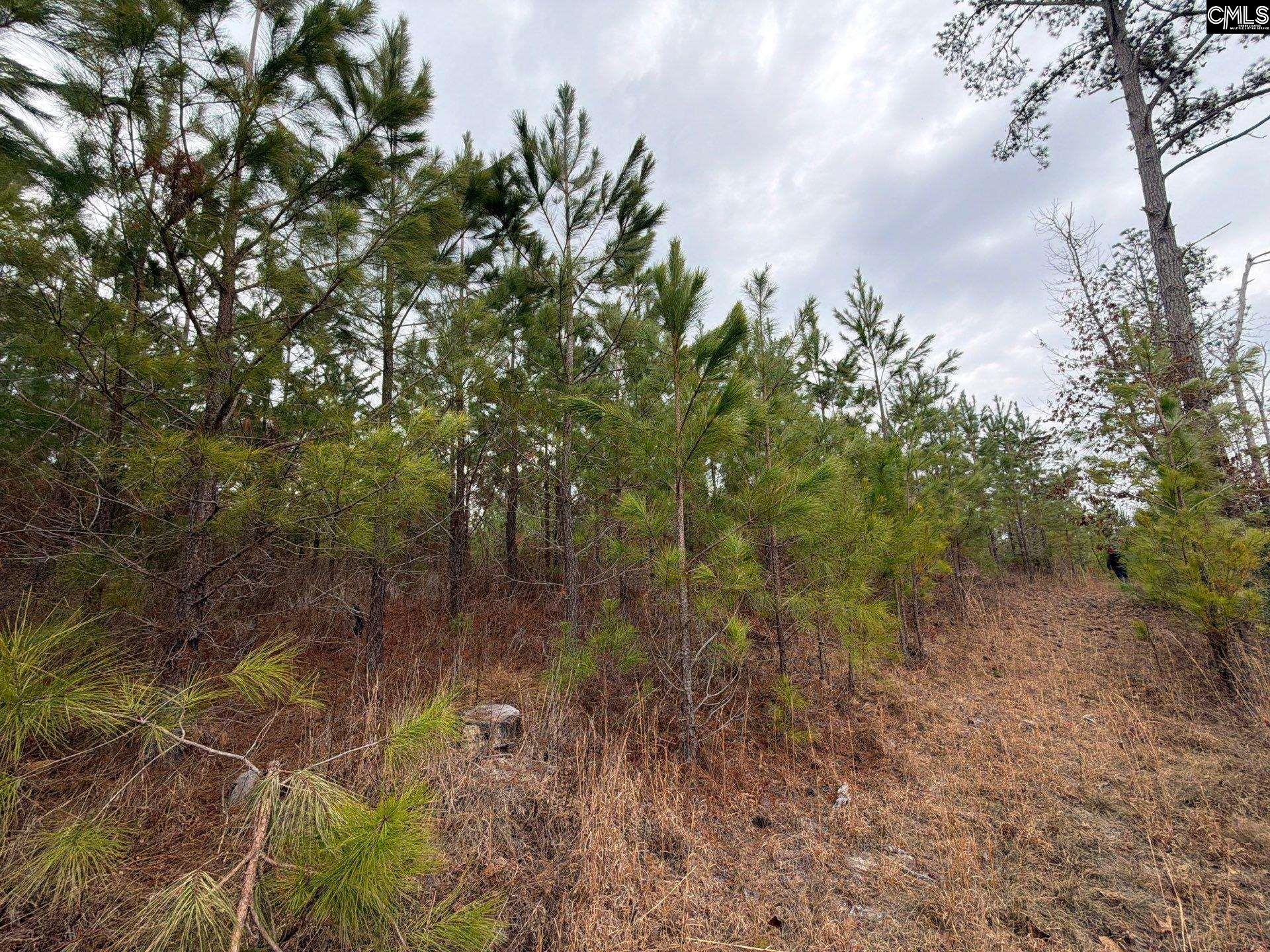 BFF II 3 Jc Barefoot Road Patrick, SC 29854