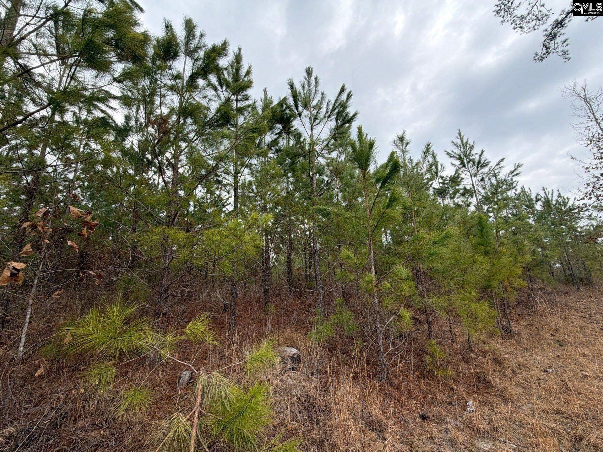 BFF II 3 Jc Barefoot Road Patrick, SC 29854