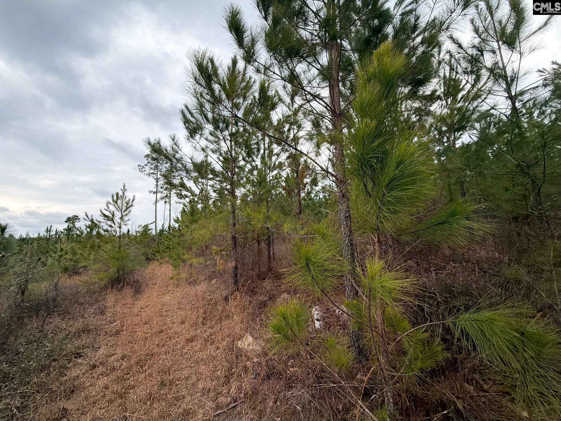 BFF II 3 Jc Barefoot Road Patrick, SC 29854