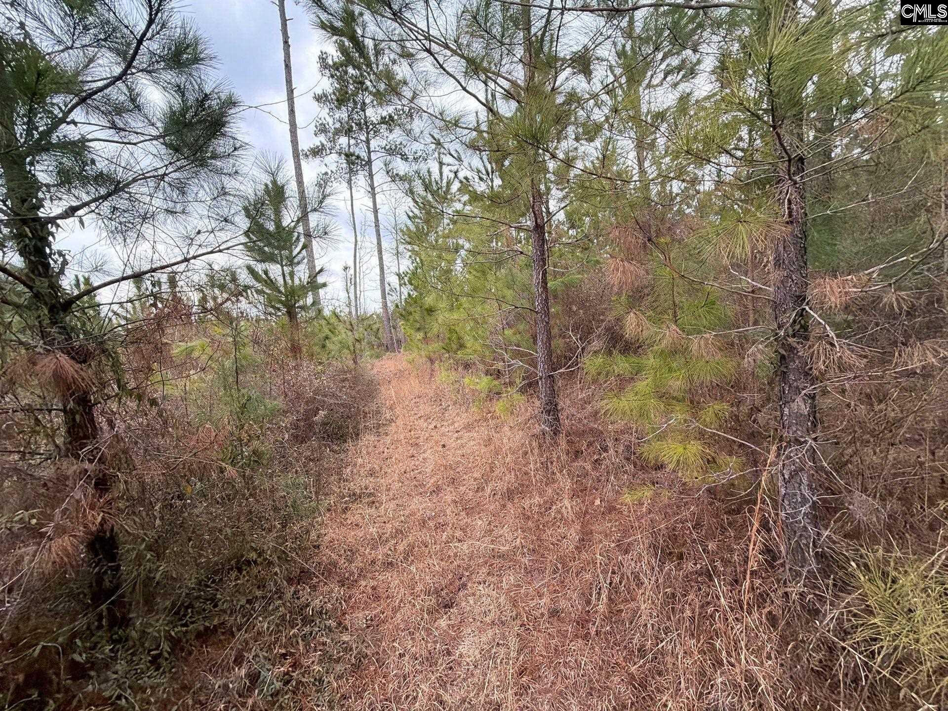 BFF II 3 Jc Barefoot Road Patrick, SC 29854