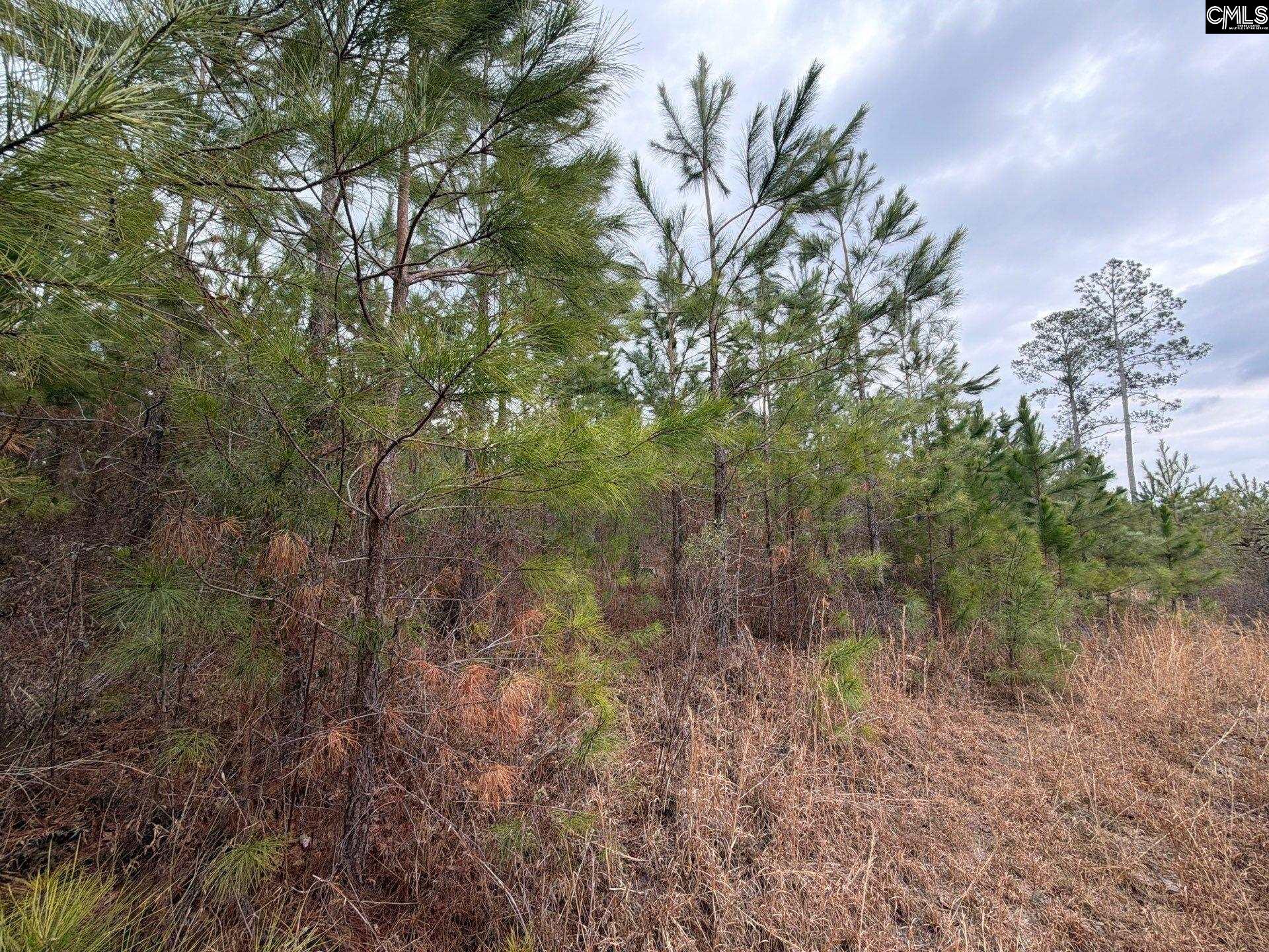 BFF II 3 Jc Barefoot Road Patrick, SC 29854