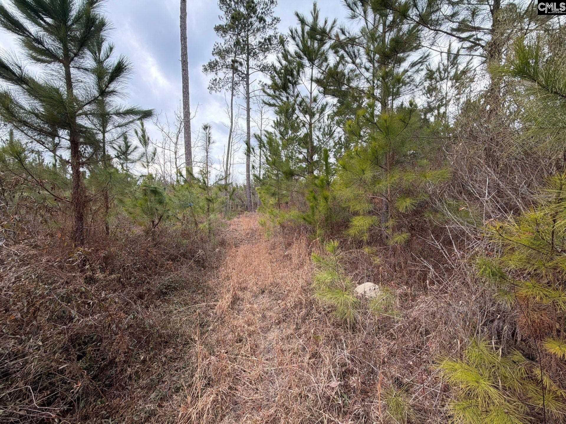 BFF II 3 Jc Barefoot Road Patrick, SC 29854