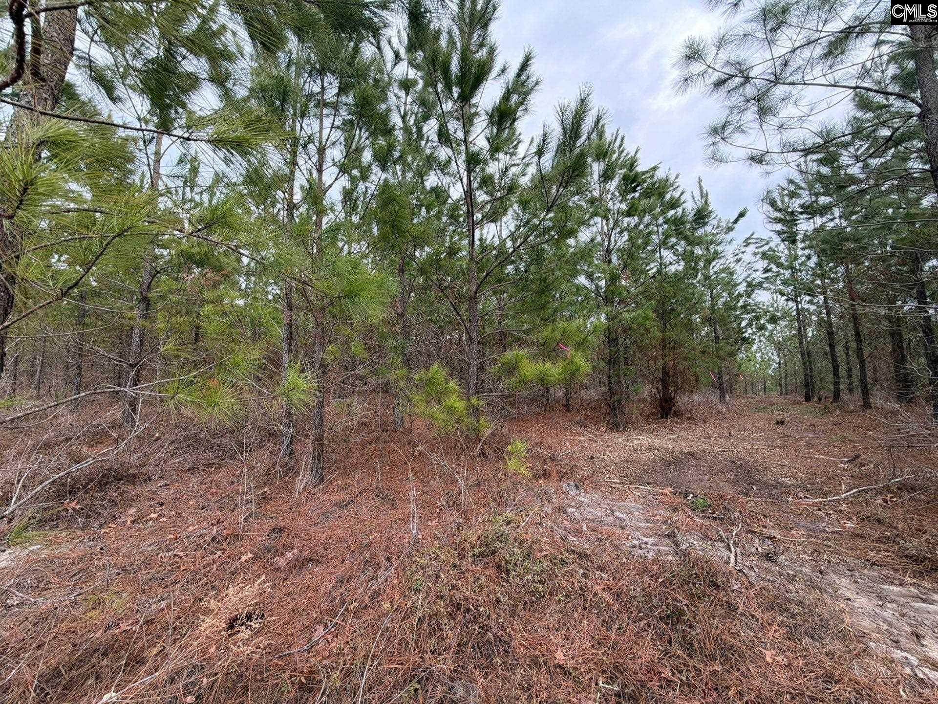 BFF II 3 Jc Barefoot Road Patrick, SC 29854
