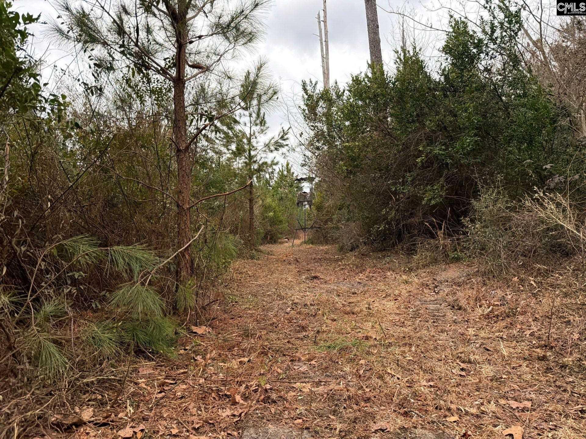 BFF II 3 Jc Barefoot Road Patrick, SC 29854