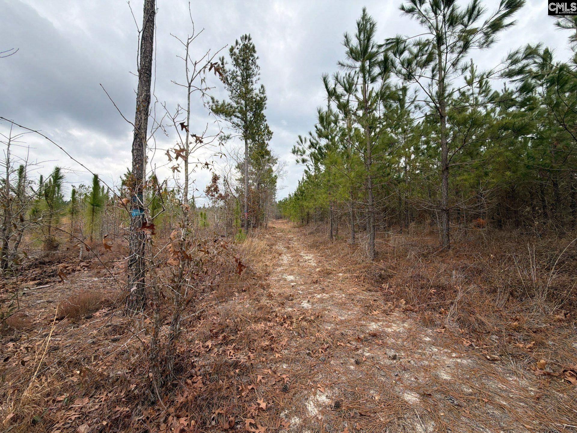 BFF II 3 Jc Barefoot Road Patrick, SC 29854