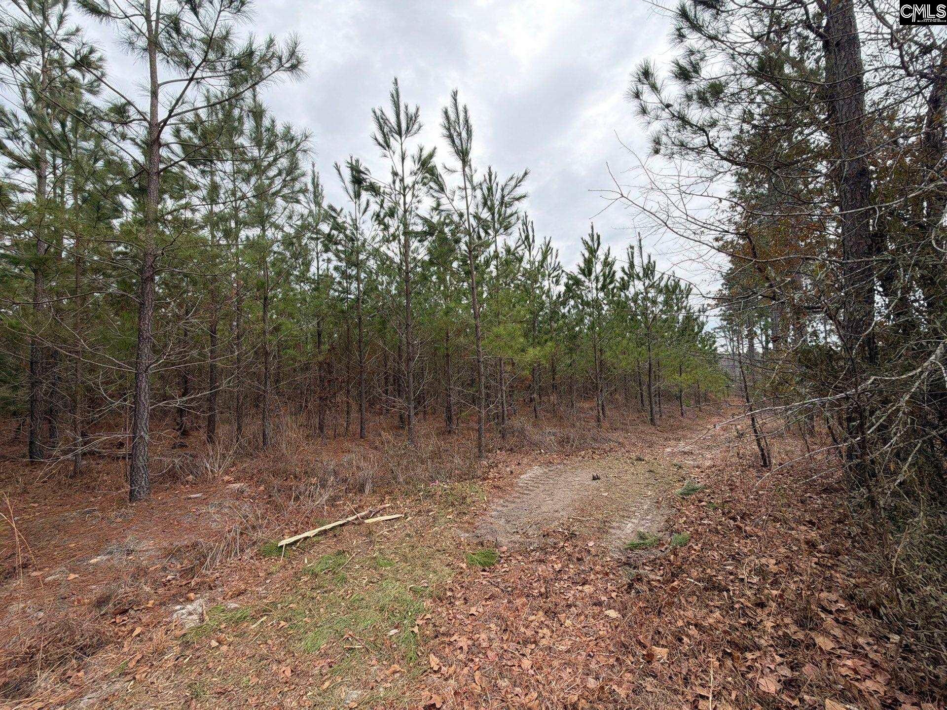 BFF II 3 Jc Barefoot Road Patrick, SC 29854