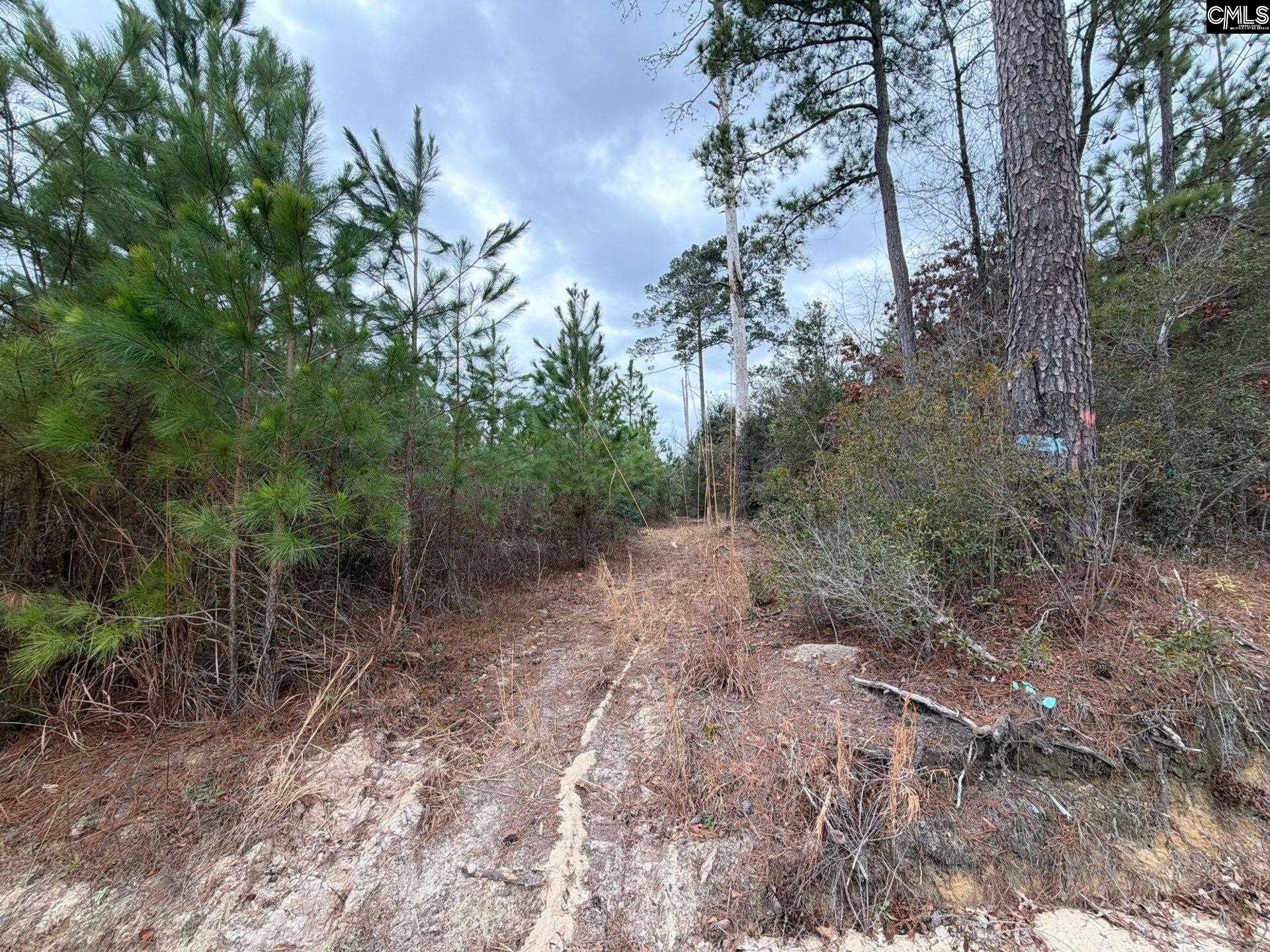 BFF II 3 Jc Barefoot Road Patrick, SC 29854