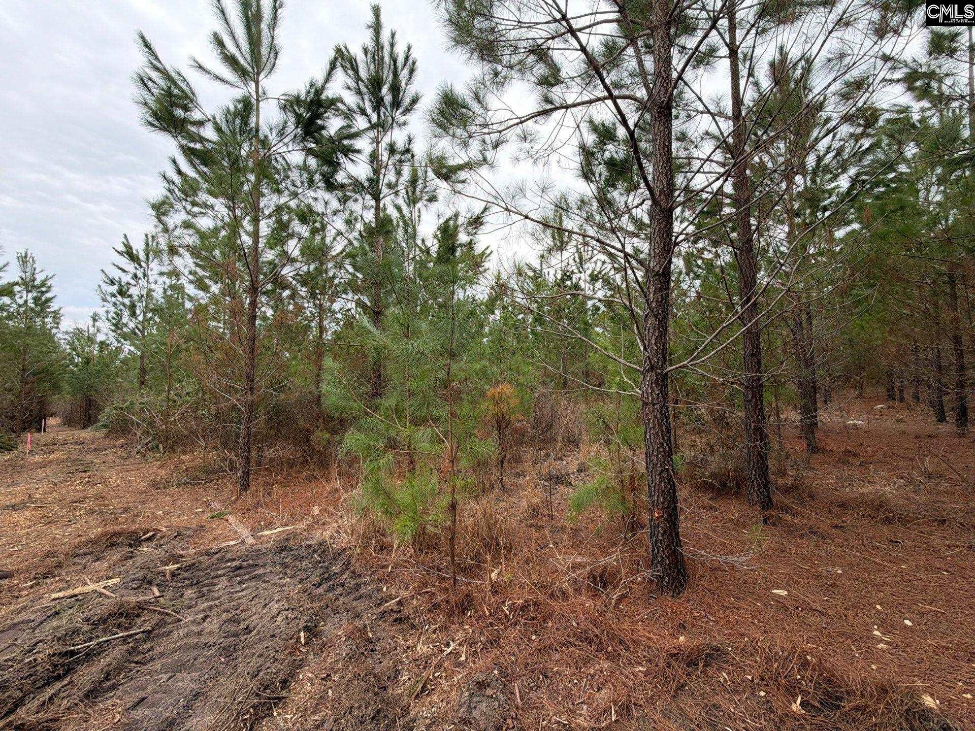 BFF II 3 Jc Barefoot Road Patrick, SC 29854