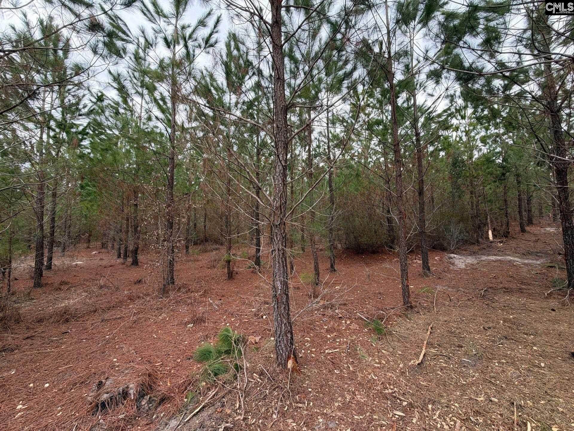 BFF II 3 Jc Barefoot Road Patrick, SC 29854