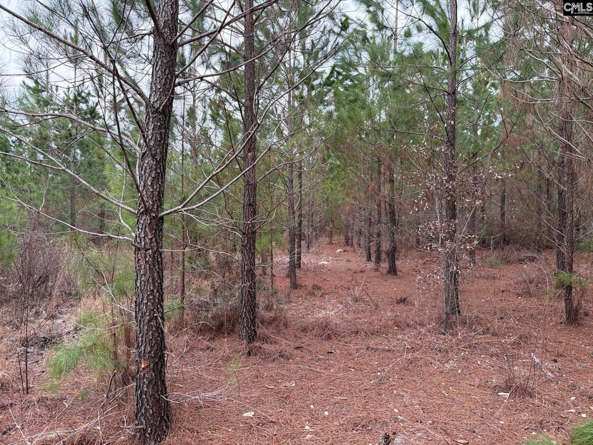 BFF II 3 Jc Barefoot Road Patrick, SC 29854