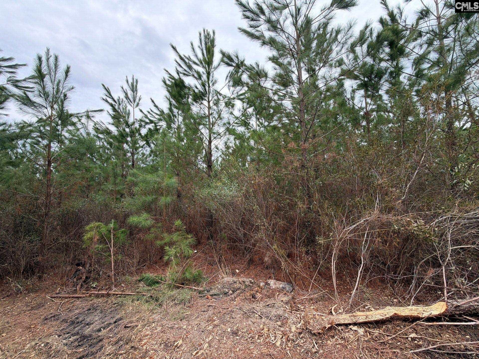 BFF II 3 Jc Barefoot Road Patrick, SC 29854