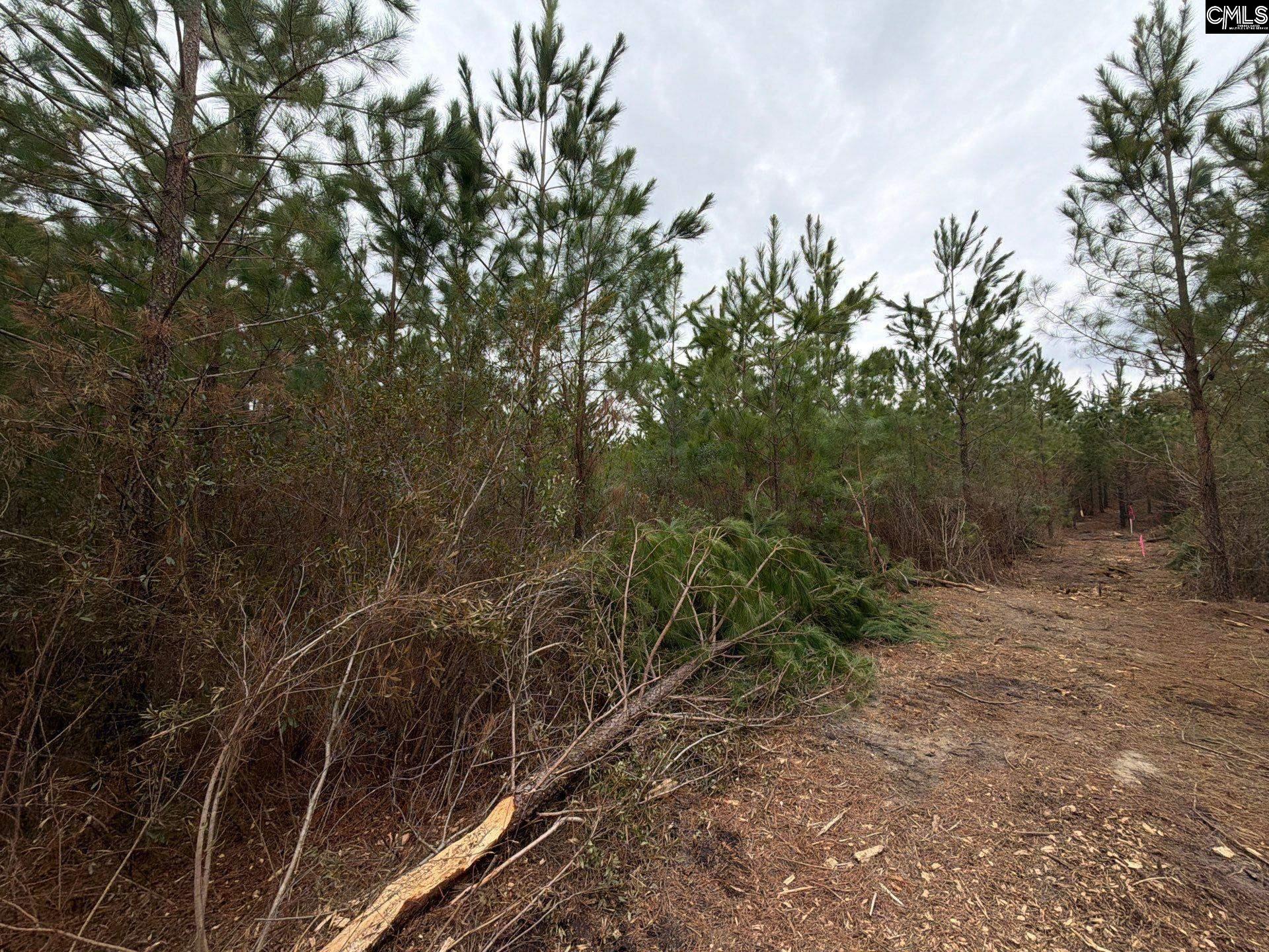 BFF II 3 Jc Barefoot Road Patrick, SC 29854