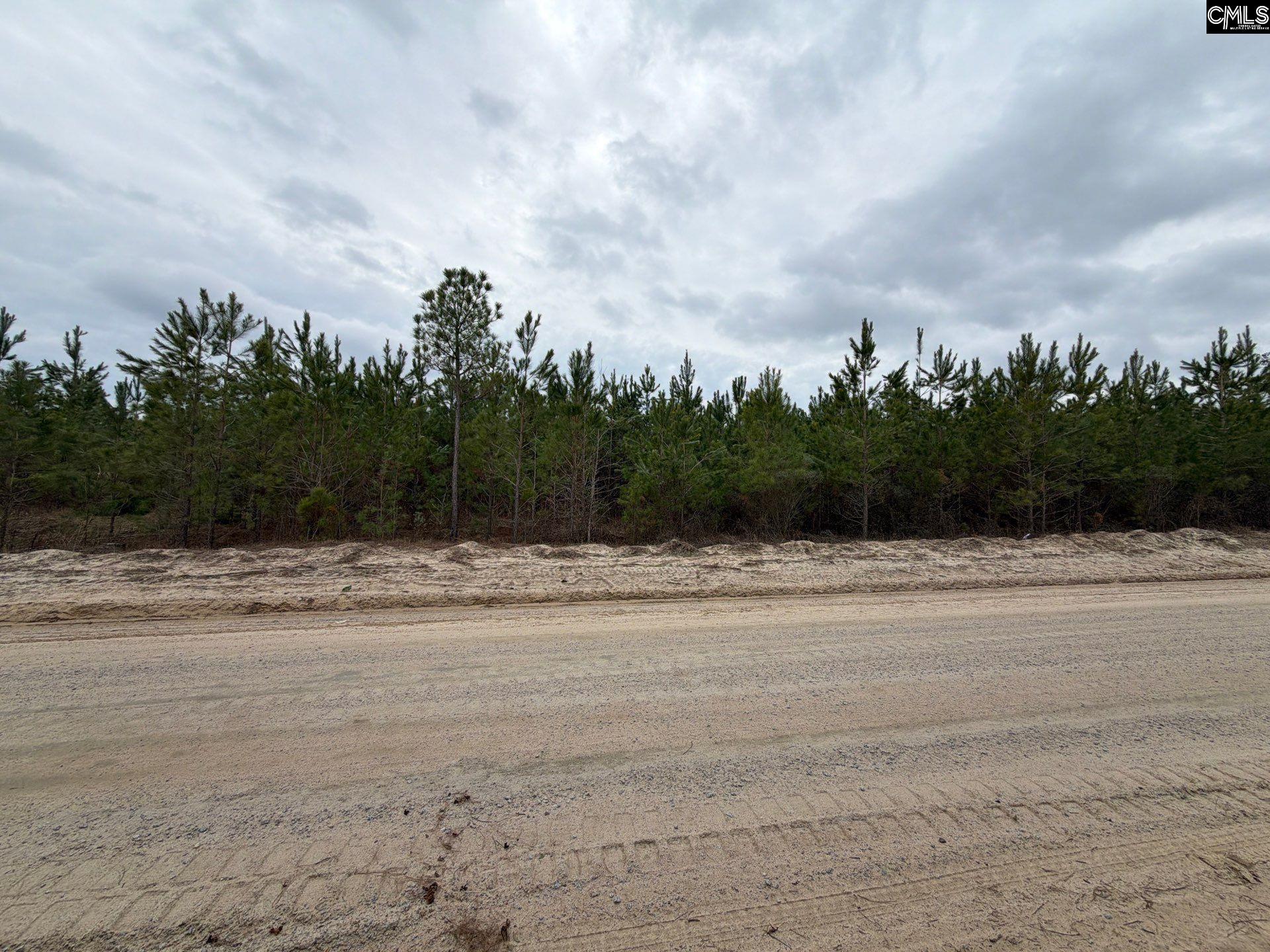 BFF II 4 Jc Barefoot Road Patrick, SC 29854