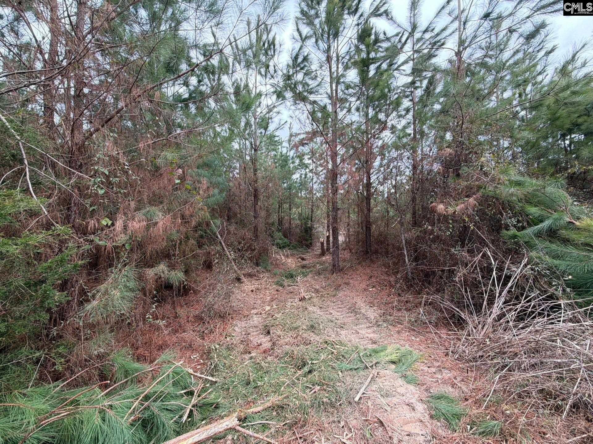 BFF II 4 Jc Barefoot Road Patrick, SC 29854