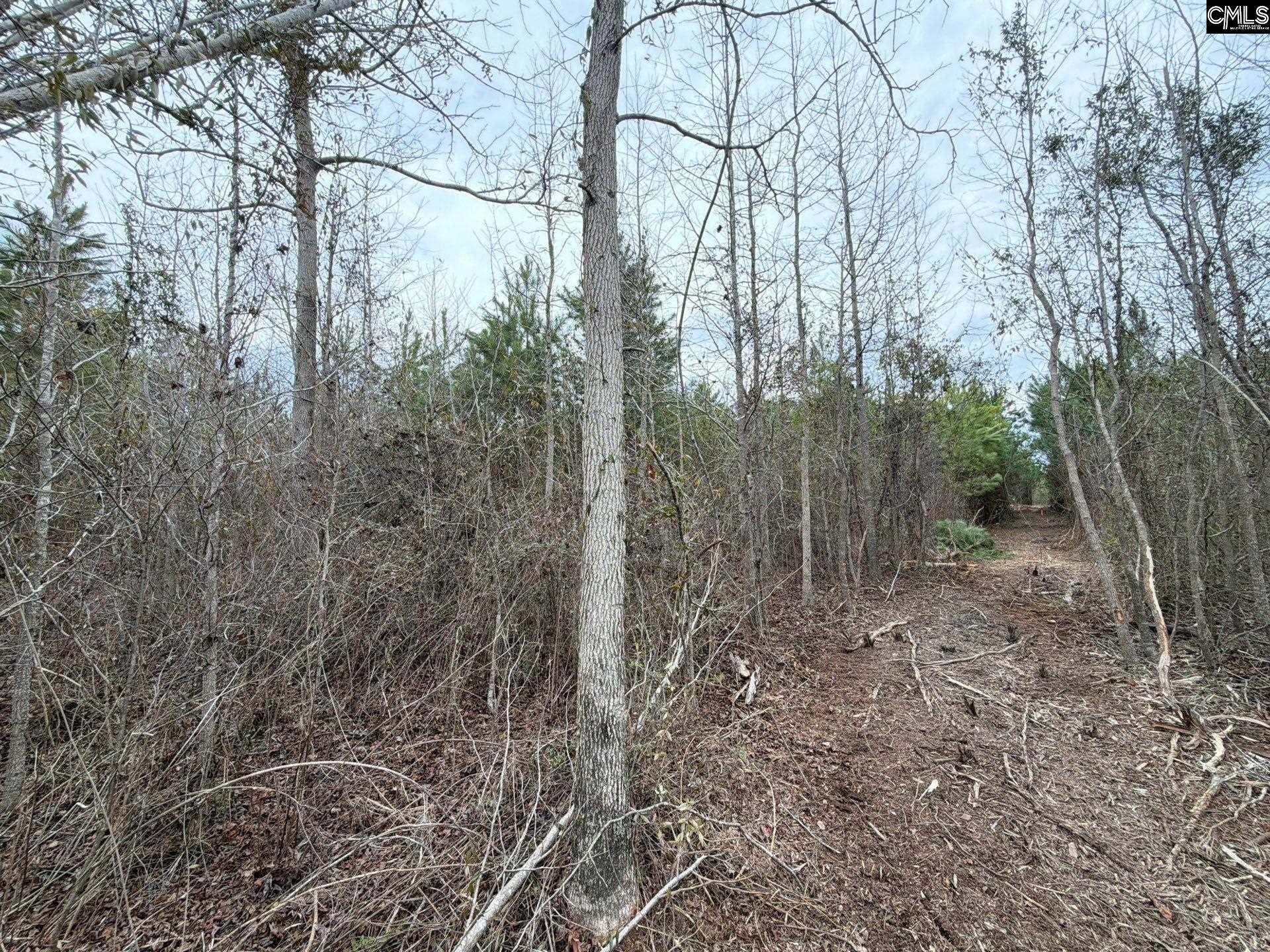 BFF II 4 Jc Barefoot Road Patrick, SC 29854
