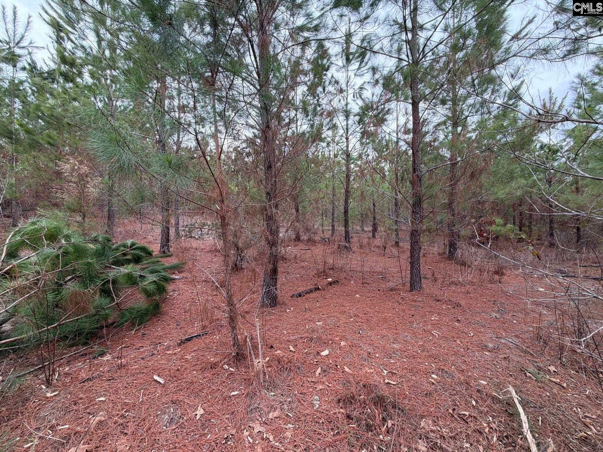 BFF II 4 Jc Barefoot Road Patrick, SC 29854