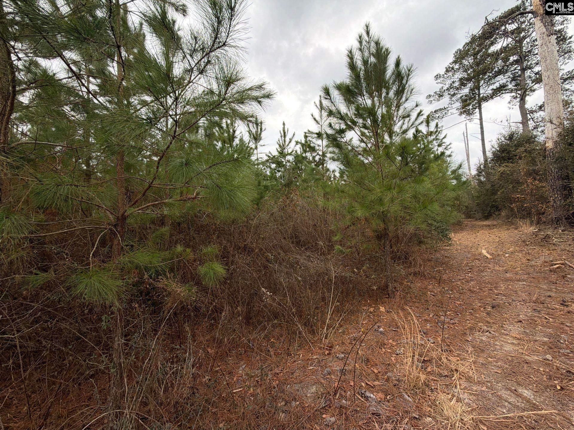 BFF II 4 Jc Barefoot Road Patrick, SC 29854