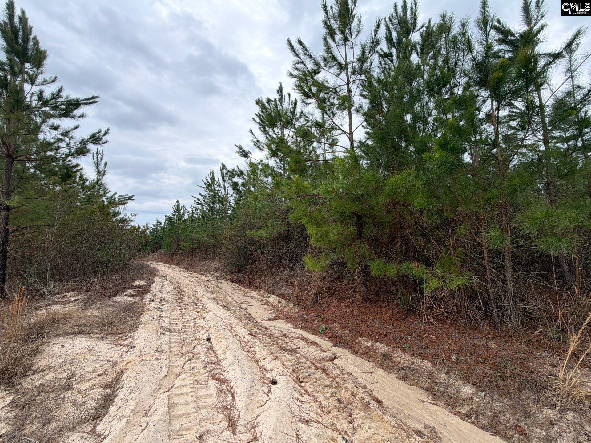 BFF II 4 Jc Barefoot Road Patrick, SC 29854