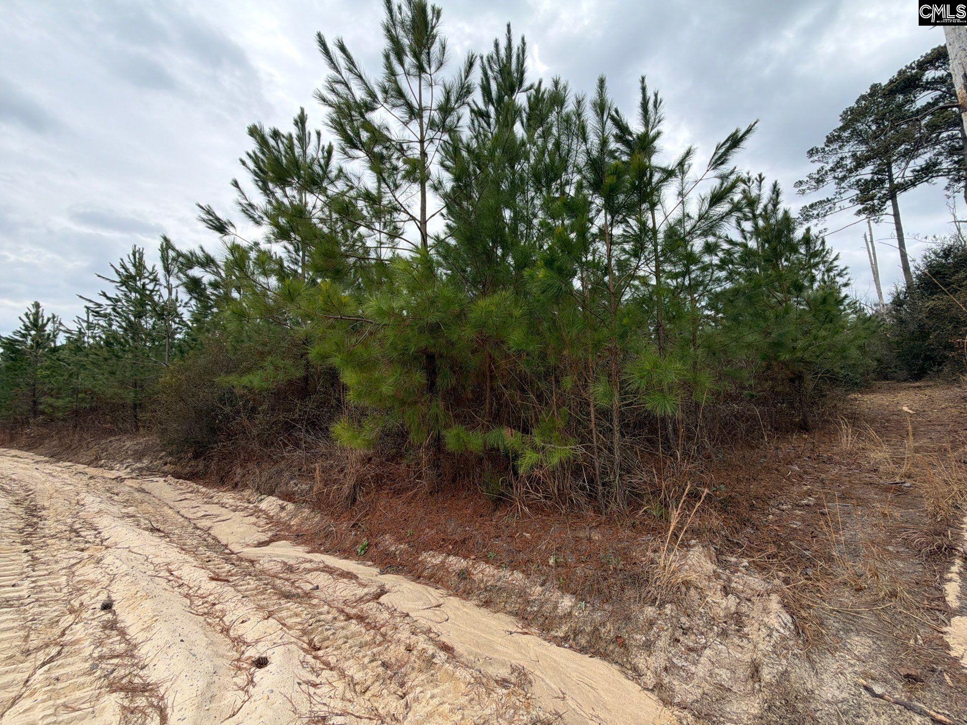 BFF II 4 Jc Barefoot Road Patrick, SC 29854