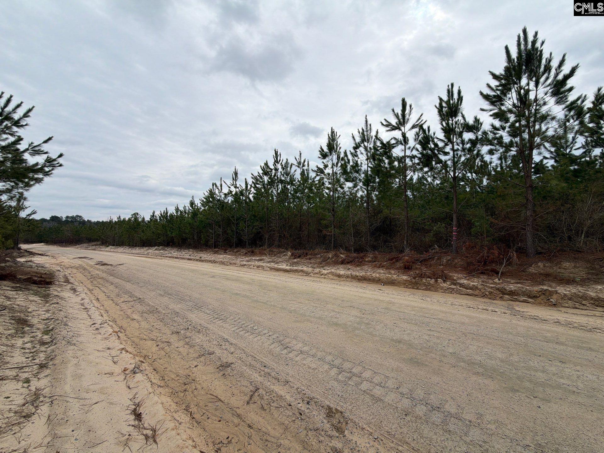 BFF II 4 Jc Barefoot Road Patrick, SC 29854
