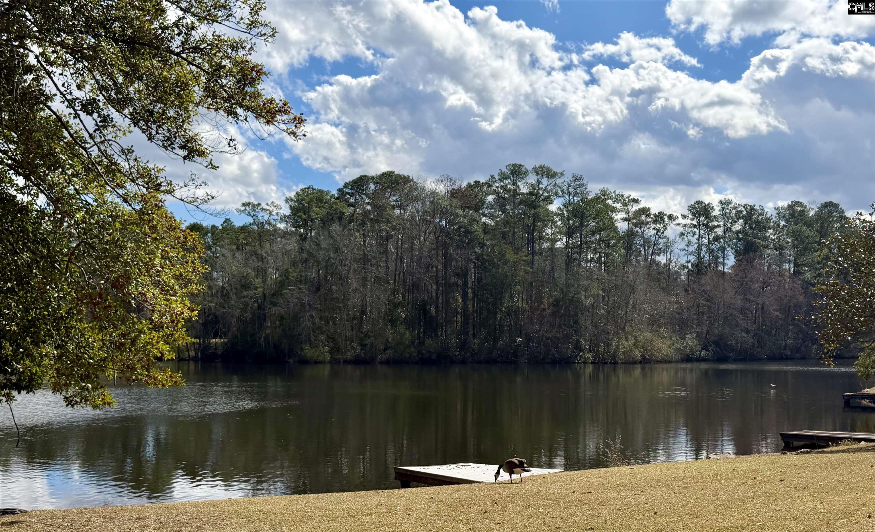 74 Ridge Lake Drive Columbia, SC 29209
