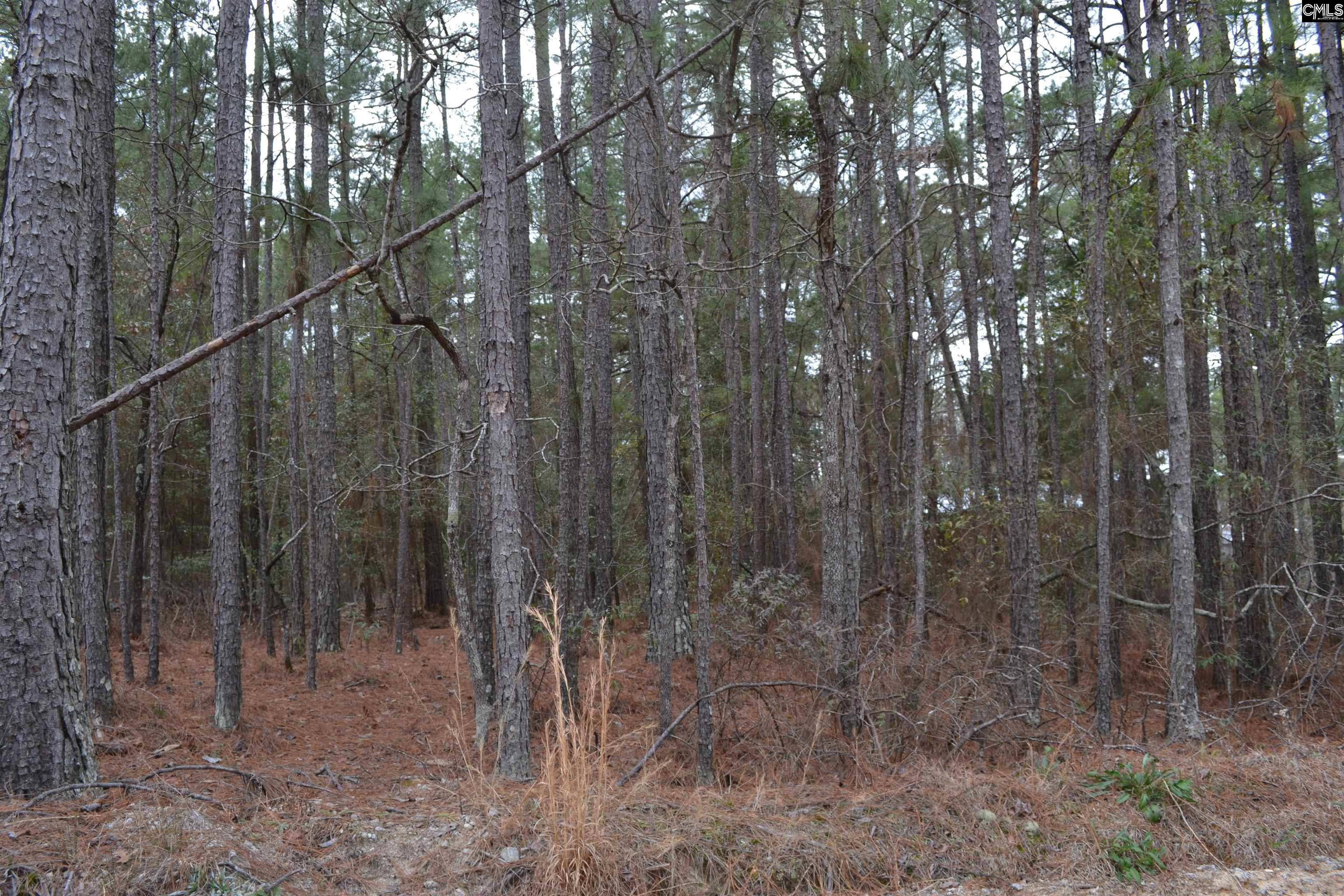 1909 Whitting Green Lane Lugoff, SC 29078-9663