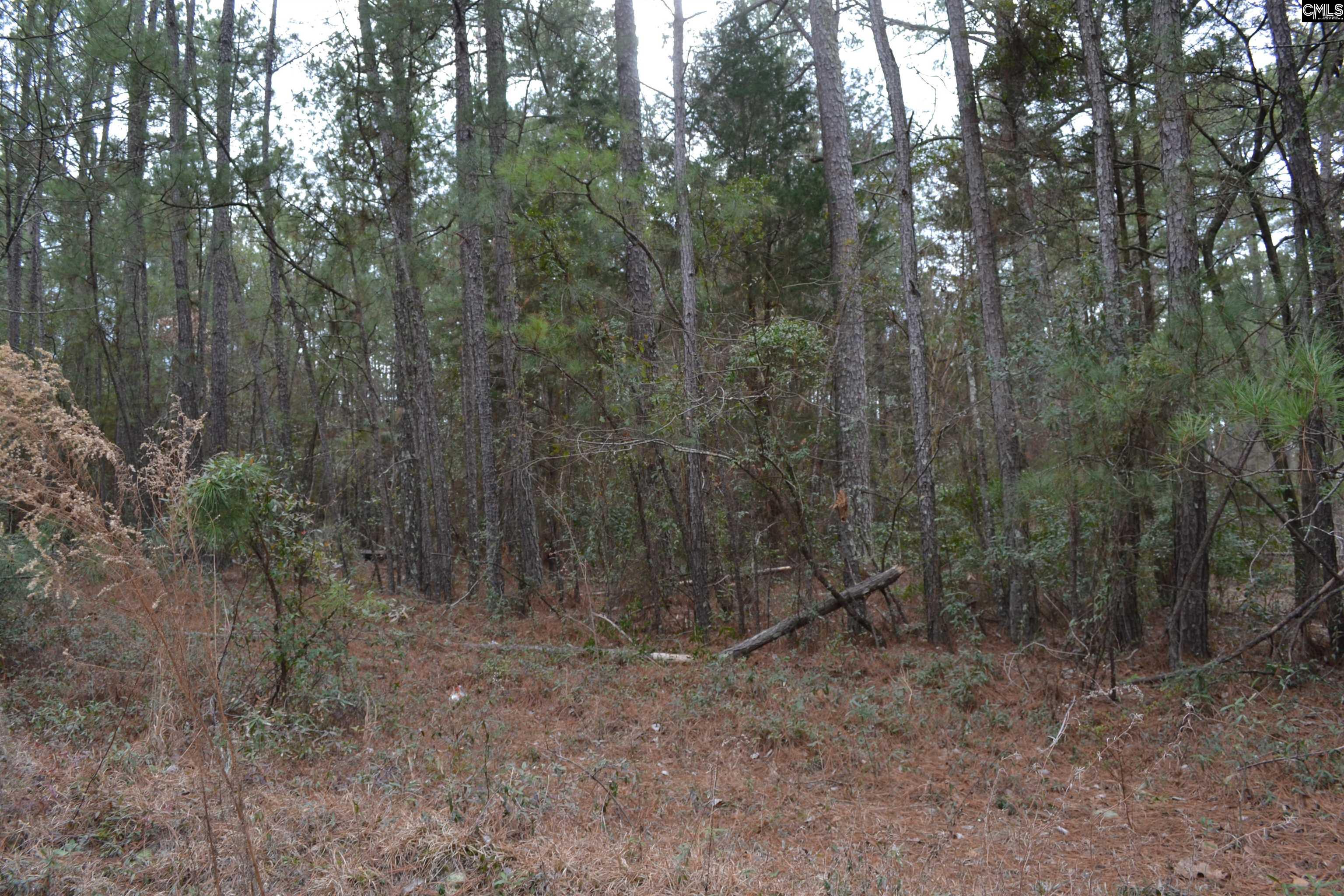 1909 Whitting Green Lane Lugoff, SC 29078-9663