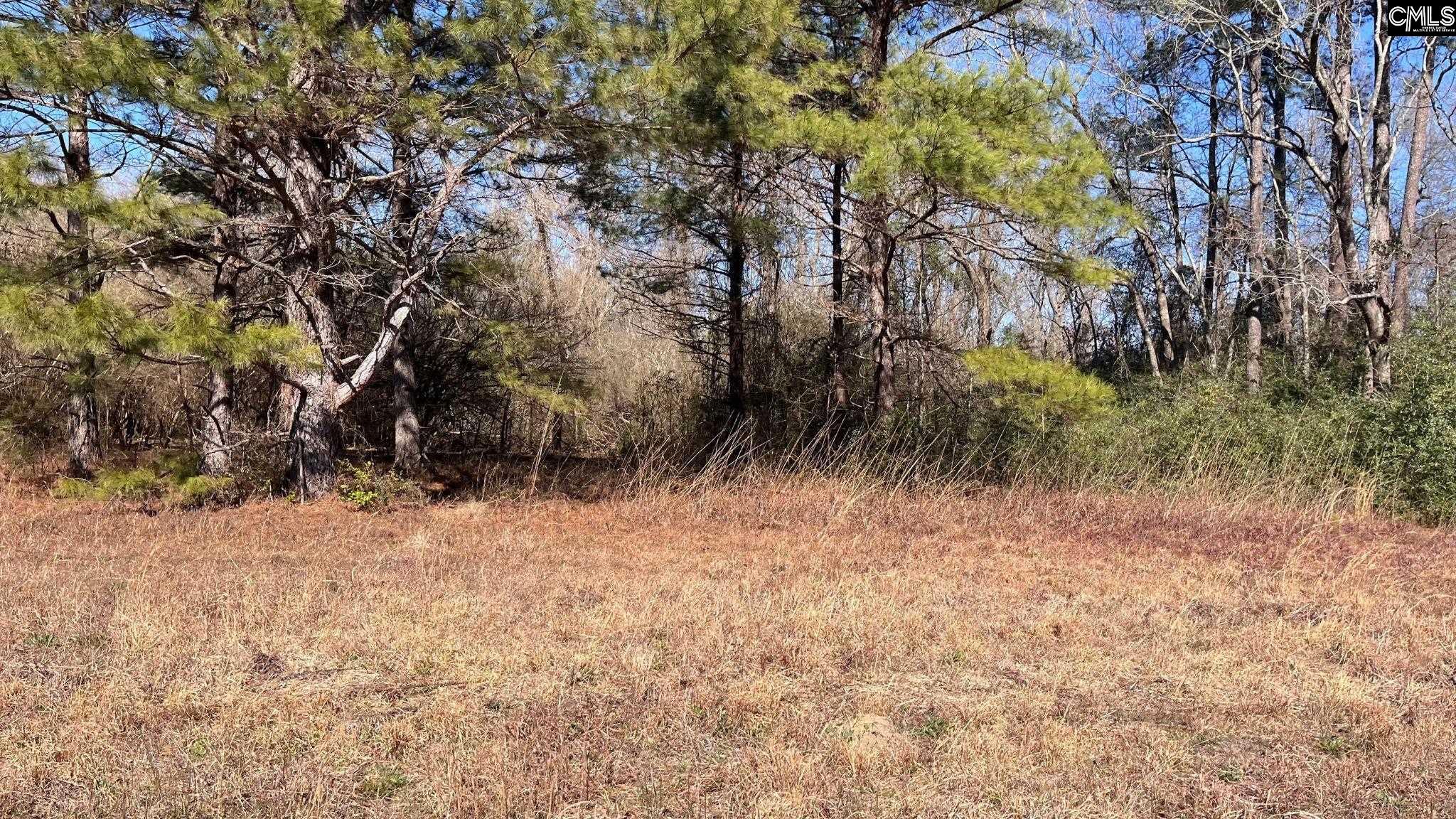 TBD Veterans Road Salley, SC 29137