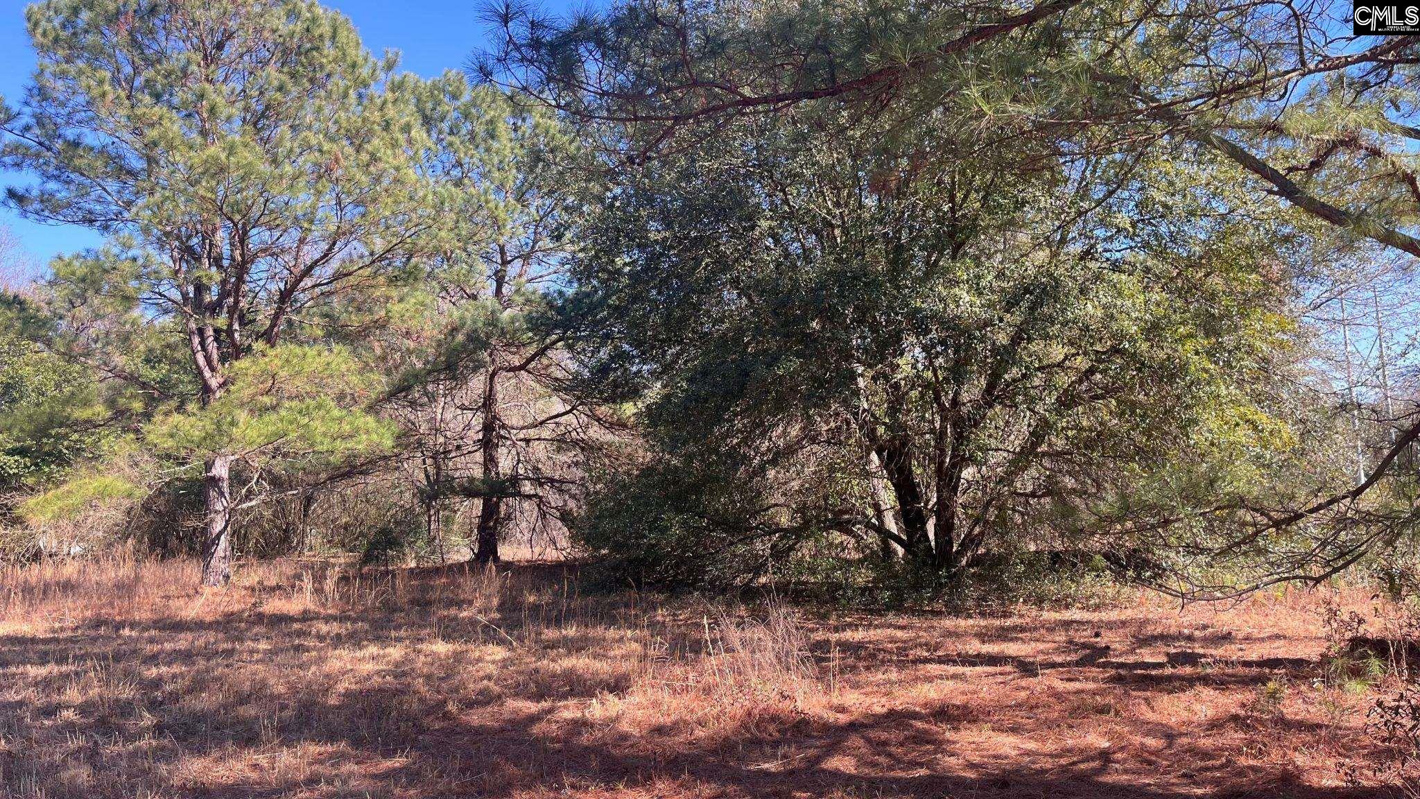 TBD Veterans Road Salley, SC 29137