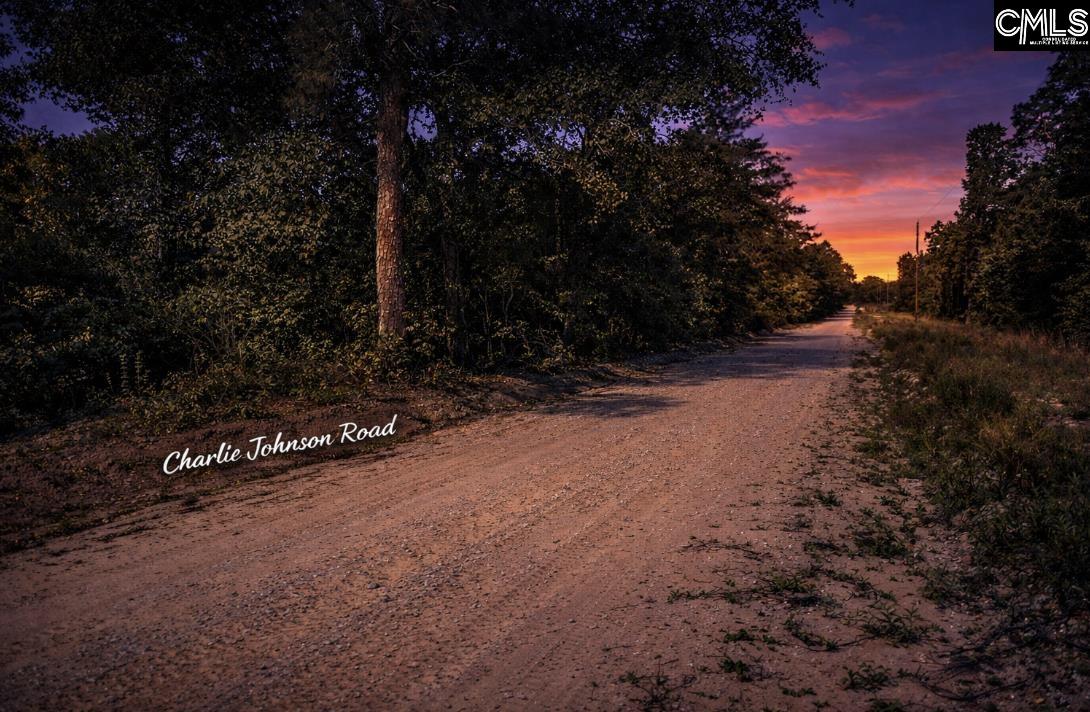 Lot 4 Charlie Johnson Road Bethune, SC 29009