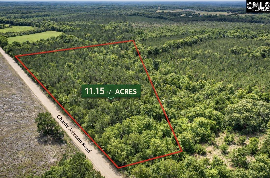 Lot 4 Charlie Johnson Road Bethune, SC 29009