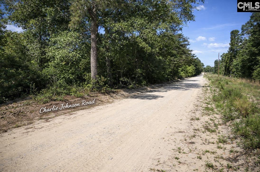Lot 4 Charlie Johnson Road Bethune, SC 29009