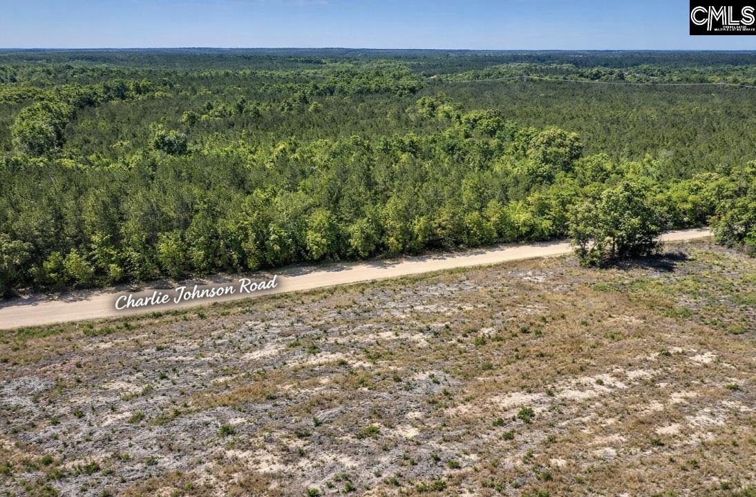 Lot 4 Charlie Johnson Road Bethune, SC 29009