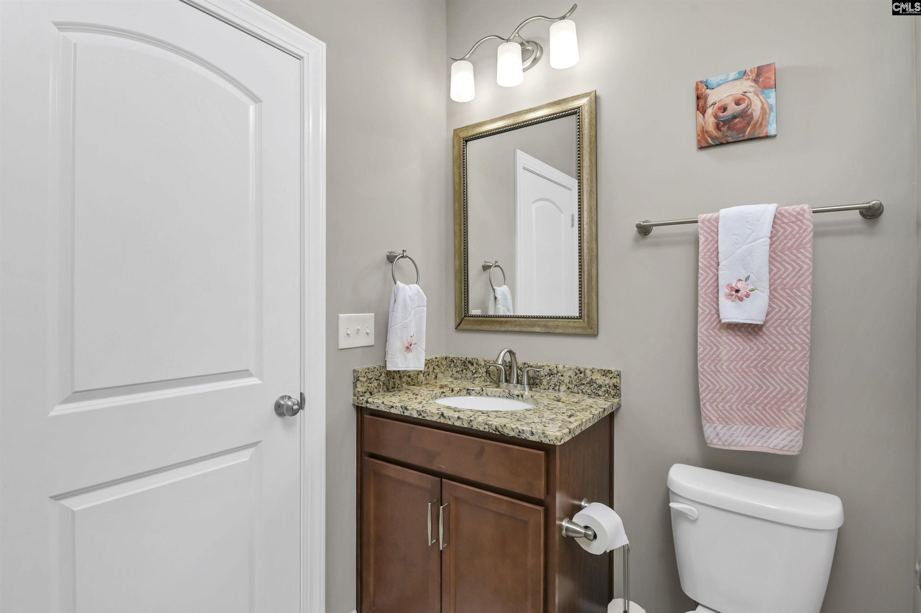 603 Riverdale Court Chapin, SC 29036