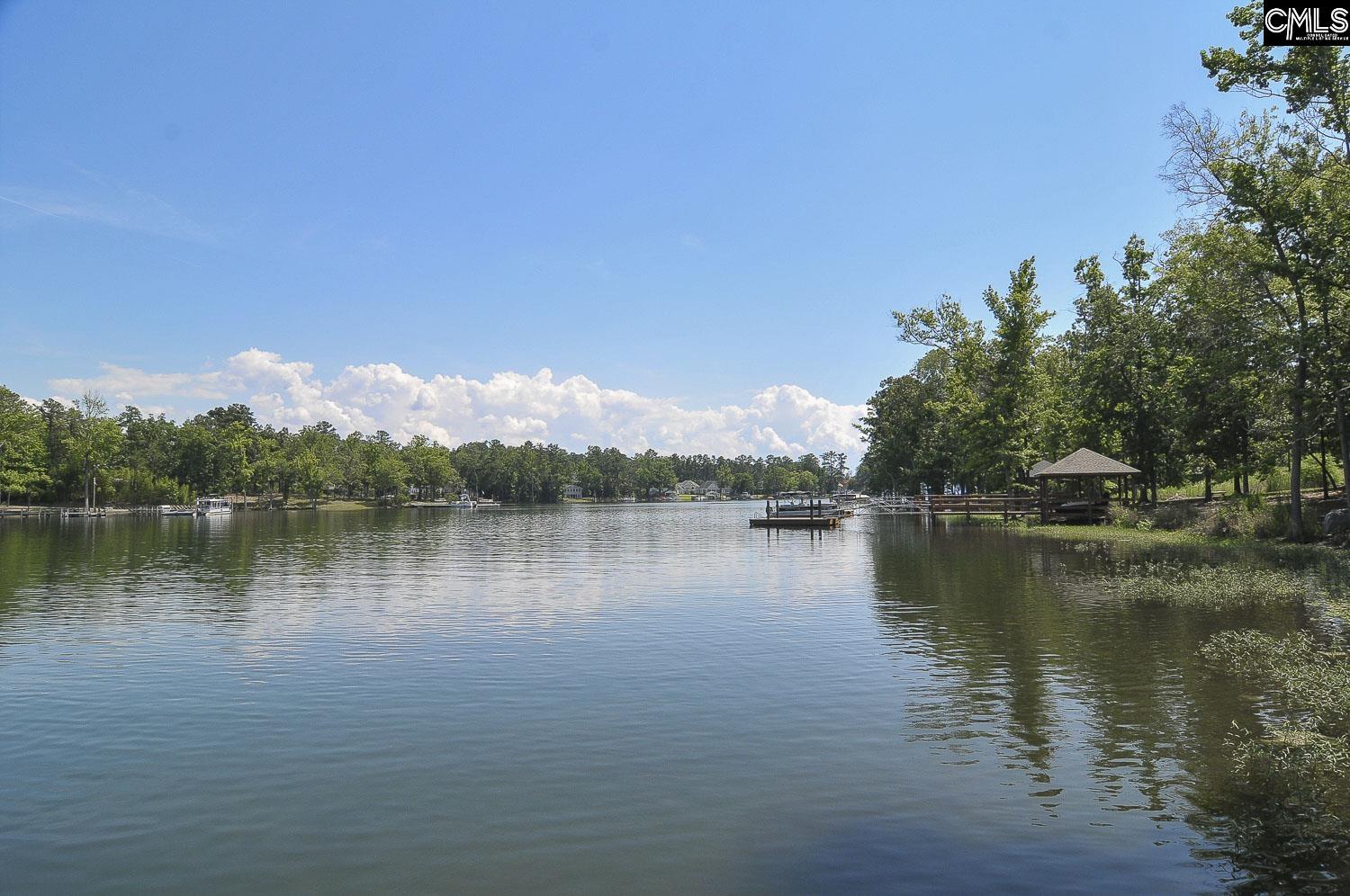 603 Riverdale Court Chapin, SC 29036
