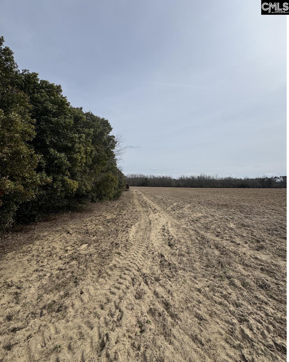 TBD Firetower Road Springfield, SC 29146