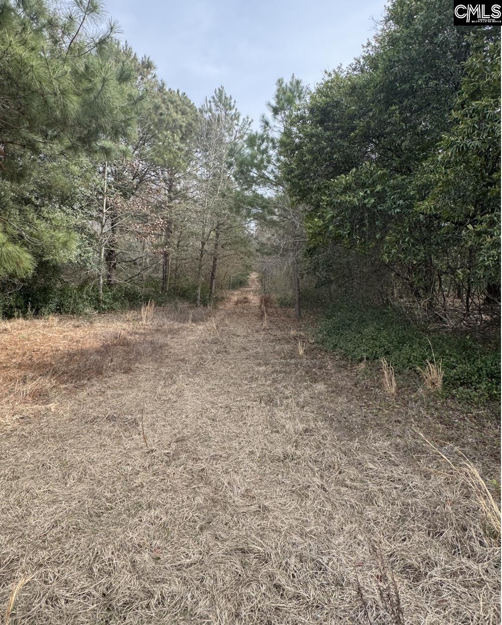 TBD Firetower Road Springfield, SC 29146