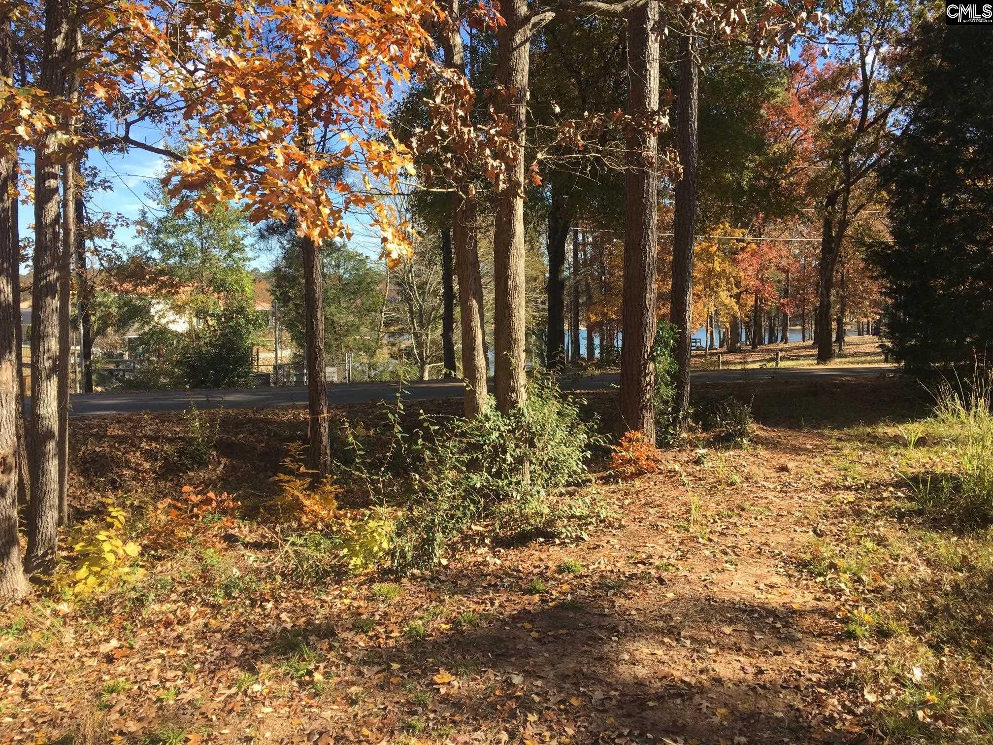 514 Shadowood Drive Irmo, SC 29063