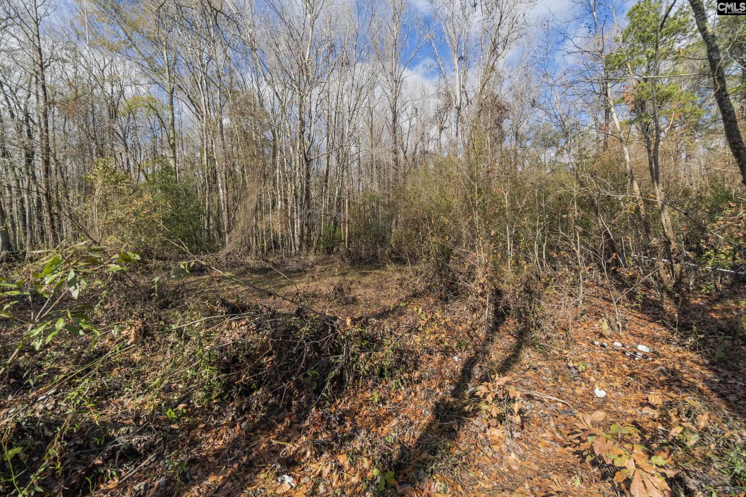 776 Shillings Bridge Road Orangeburg, SC 29115